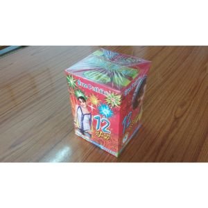 12 Star Aerial B (Mega size)