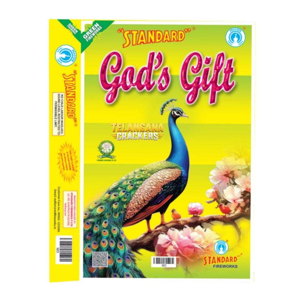 God's Gift