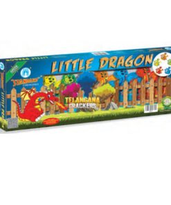 Little Dragon