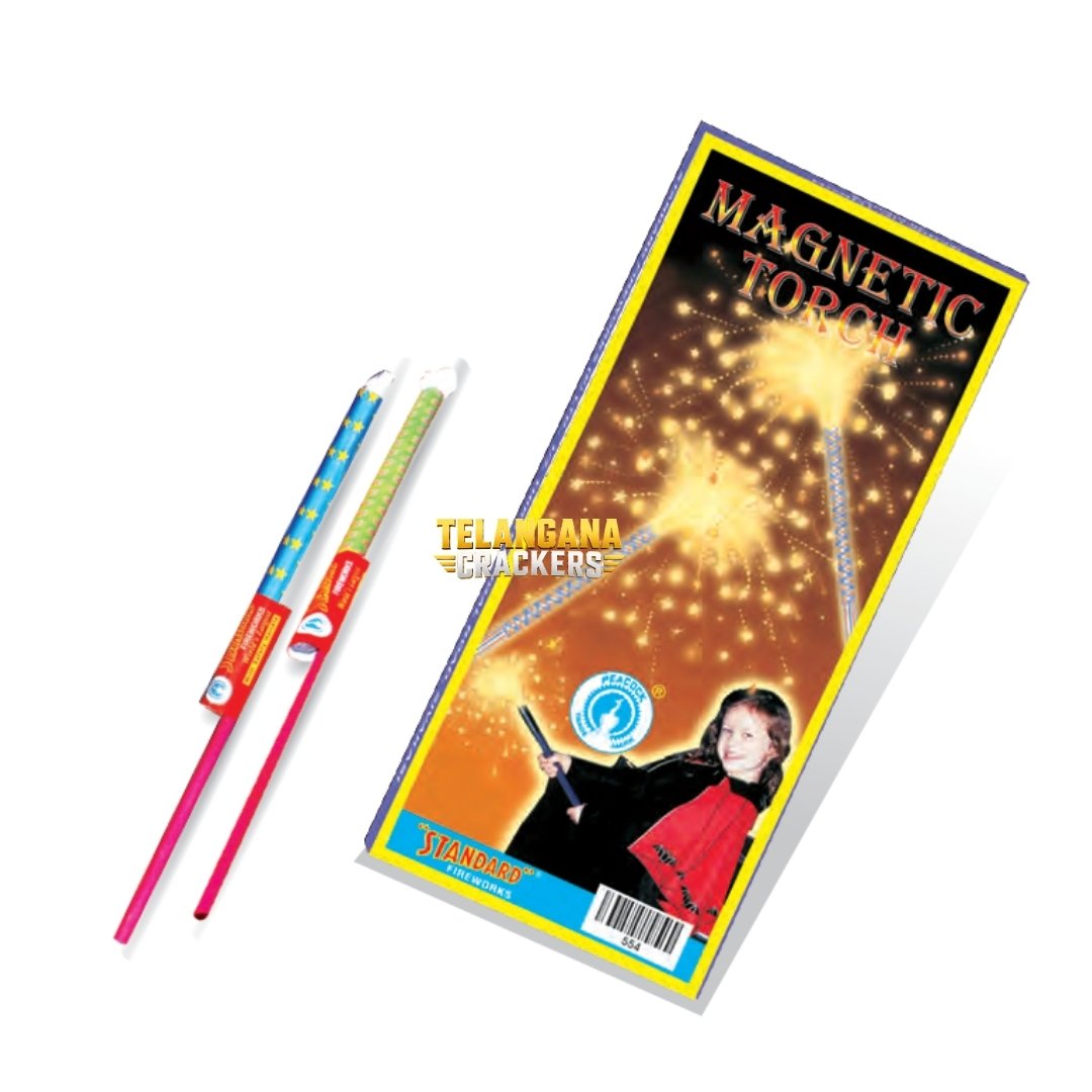 Magnetic Torches