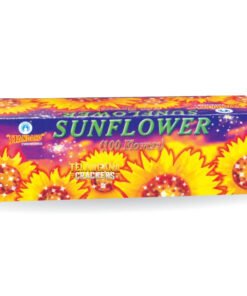 Sun Flower
