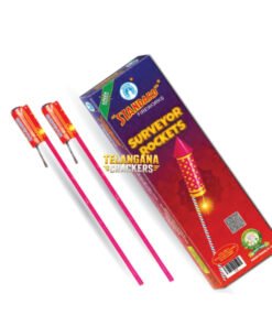 Surveyor Rockets